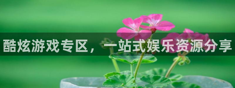 星欧娱乐下载：酷炫游戏专区，一站式娱乐资源分享