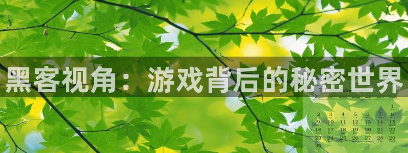 星欧娱乐注册登录平台：黑客视角：游戏背后的秘密世界