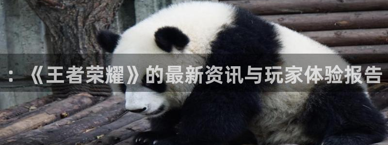 星欧娱乐官网登录：：《王者荣耀》的最新资讯与玩家体验报告